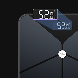 LED screen body scale