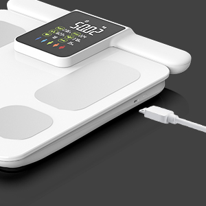 Rechargeable